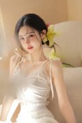 于中国、以色列、吉尔吉斯斯坦和俄罗斯的实体